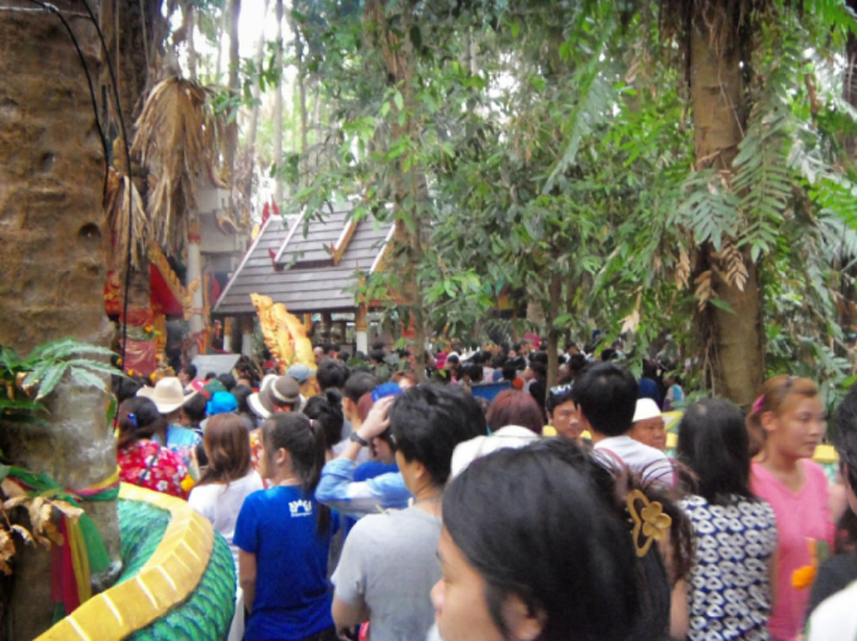 คำชะโนด 