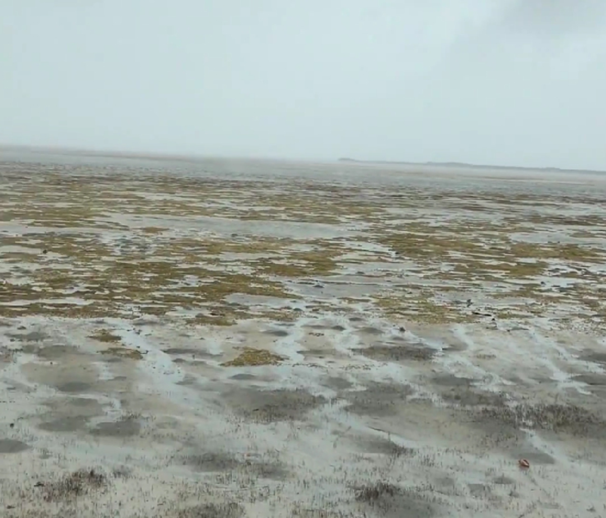 ชมชัดๆ ทำทั่วโลกตะลึง!! น้ำทะเลบาฮามาสถูกดูดหายไปหมด ตอกย้ำความรุนแรงของเฮอริเคนเออร์มา  (คลิป)