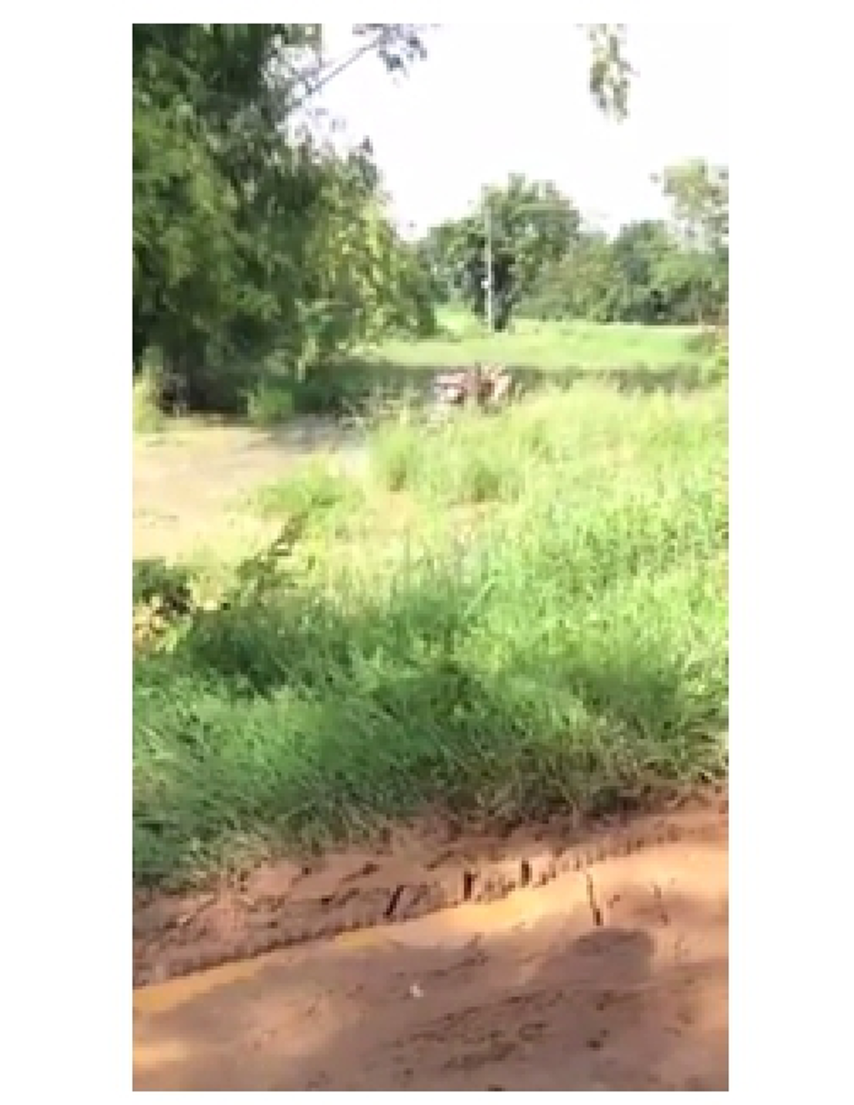 โครตเจ๋ง!!! รถไถนาไร้คนขับ.. หนุ่มสุโขทัยประดิษฐ์ “รถไถบังคับวิทยุ” บอกศึกษาเอง สนุกดีผมชอบ (มีคลิป)