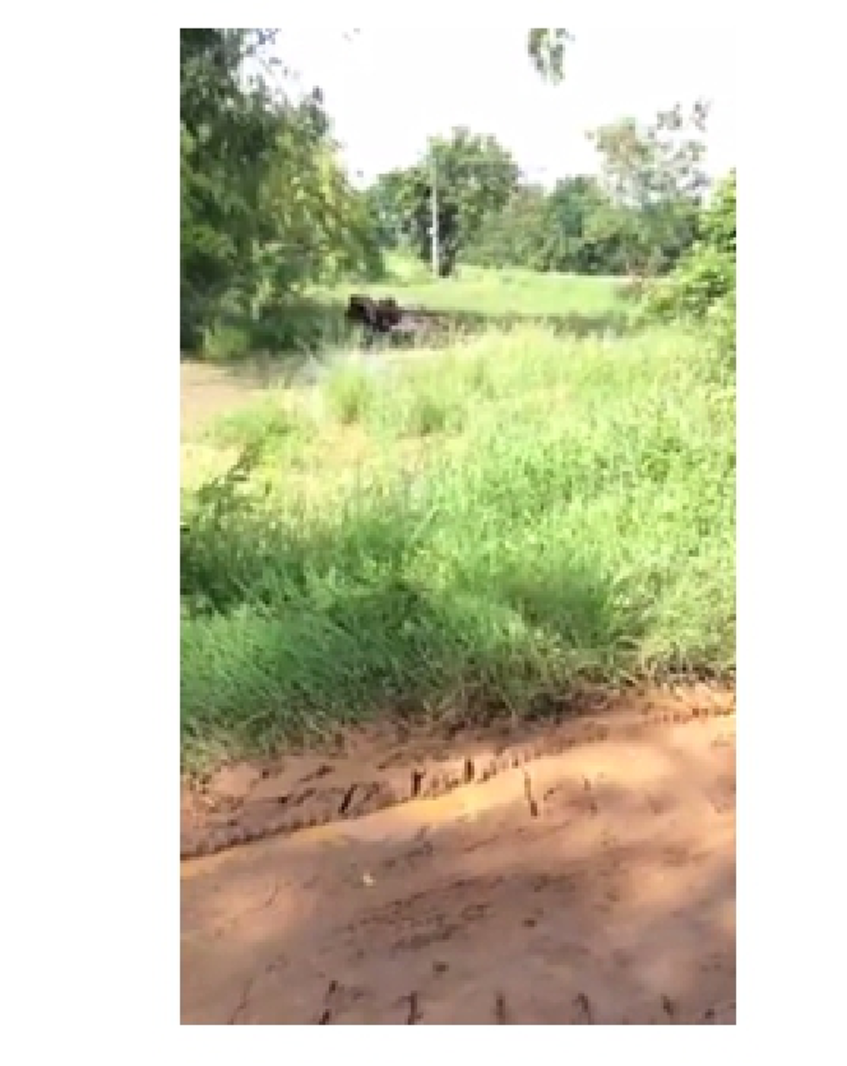 โครตเจ๋ง!!! รถไถนาไร้คนขับ.. หนุ่มสุโขทัยประดิษฐ์ “รถไถบังคับวิทยุ” บอกศึกษาเอง สนุกดีผมชอบ (มีคลิป)