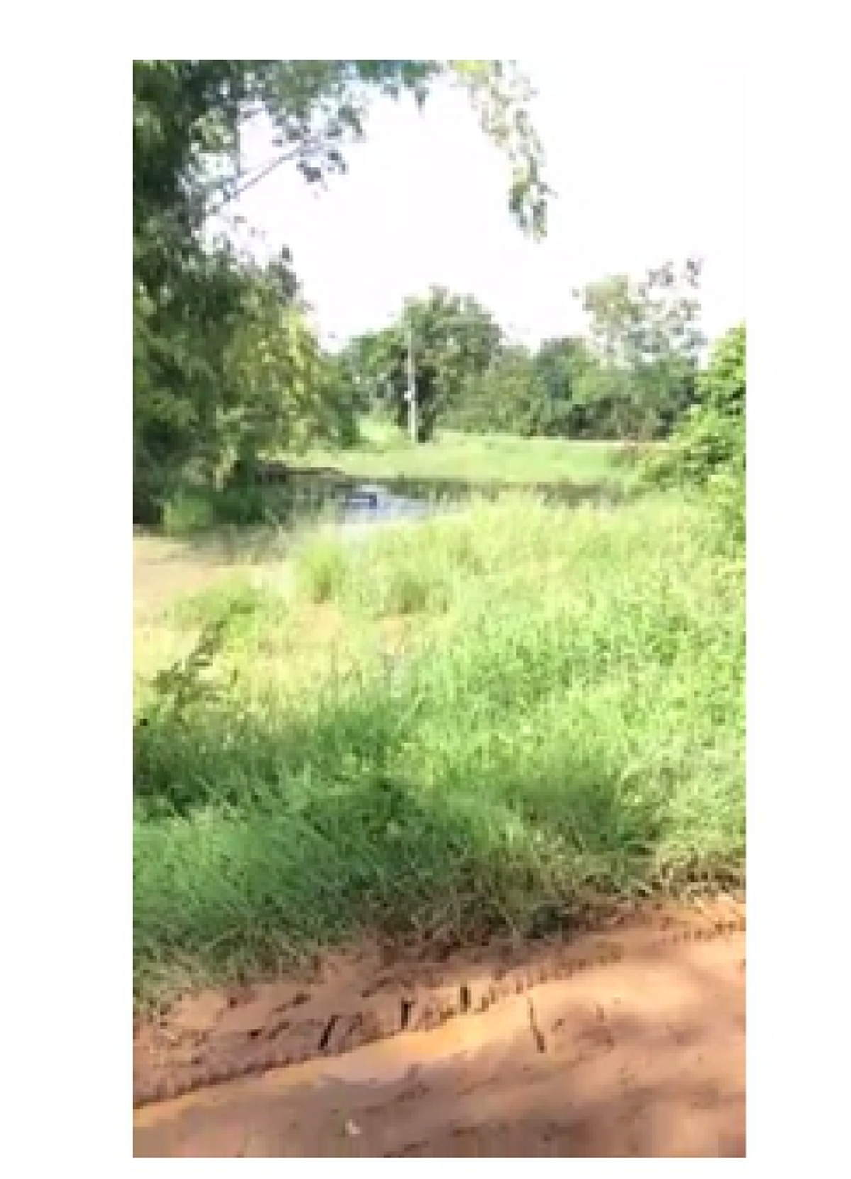 โครตเจ๋ง!!! รถไถนาไร้คนขับ.. หนุ่มสุโขทัยประดิษฐ์ “รถไถบังคับวิทยุ” บอกศึกษาเอง สนุกดีผมชอบ (มีคลิป)