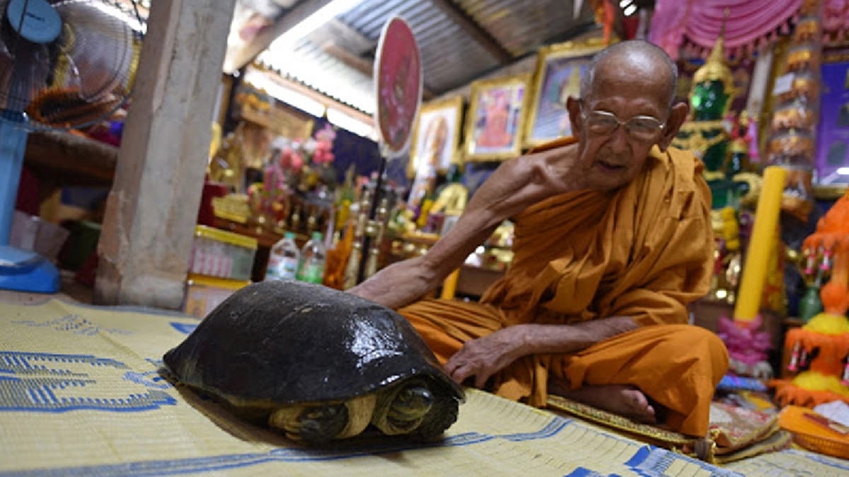 สิ้นแล้ว เพชรในหุบเขา ยอดพระเกจิ พระเถระเมืองเพชรบูรณ์ หลวงปู่อุ้ย ศิริปัญโญ ศิษย์สายหลวงพ่อทบ วัดชนแดน มรณภาพอย่างสงบด้วยอายุ ๘๖ พรรษา