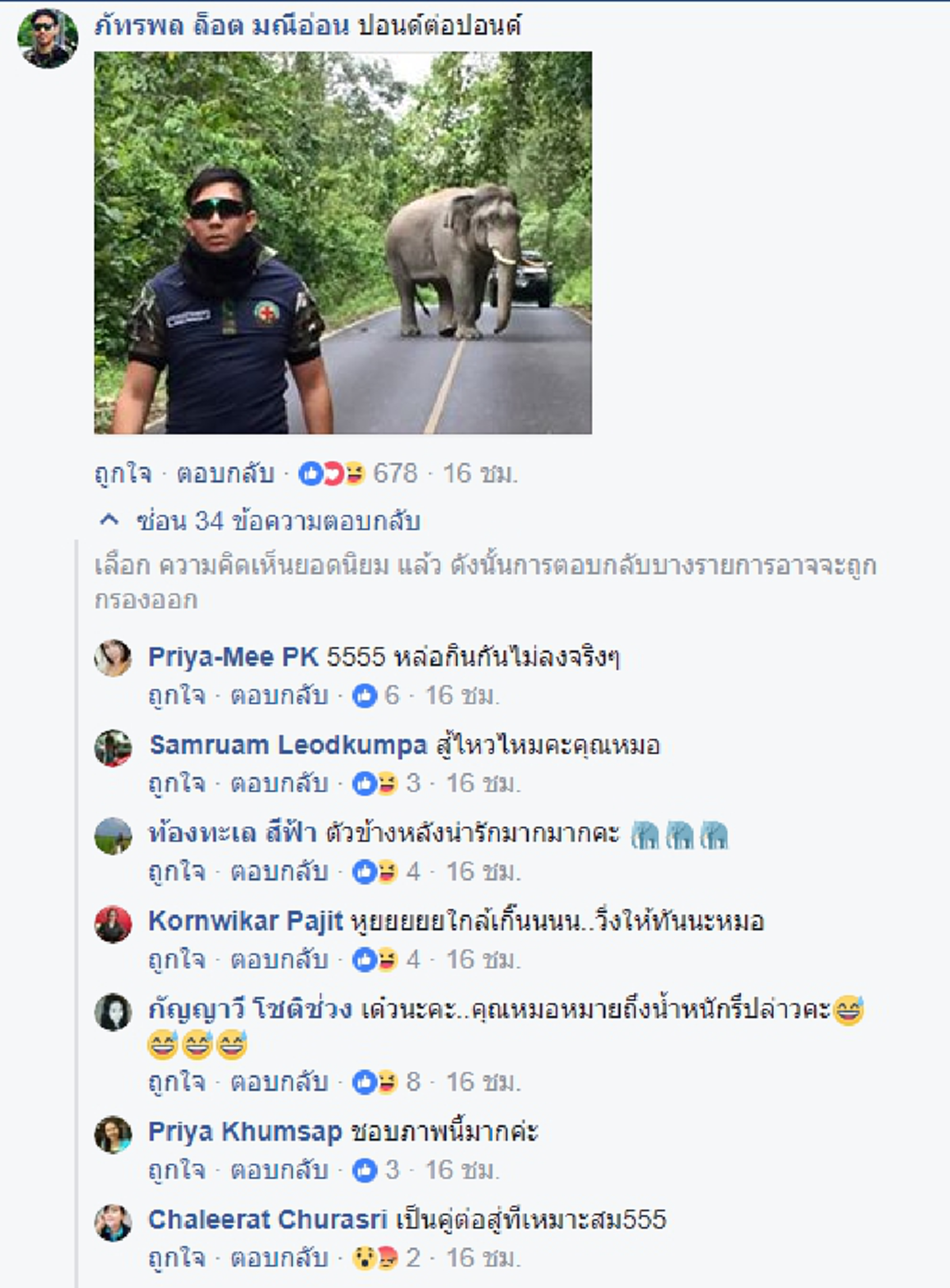 ช้างตกใจ น่ากลัวกว่าช้างตกมัน !!! สุดผวา "งาทอง แกว่งปฐพี" ช้างตกมันระยะอันตราย บนถนนเขาใหญ่ !!! #ข้อควรรู้และปฏิบัติ