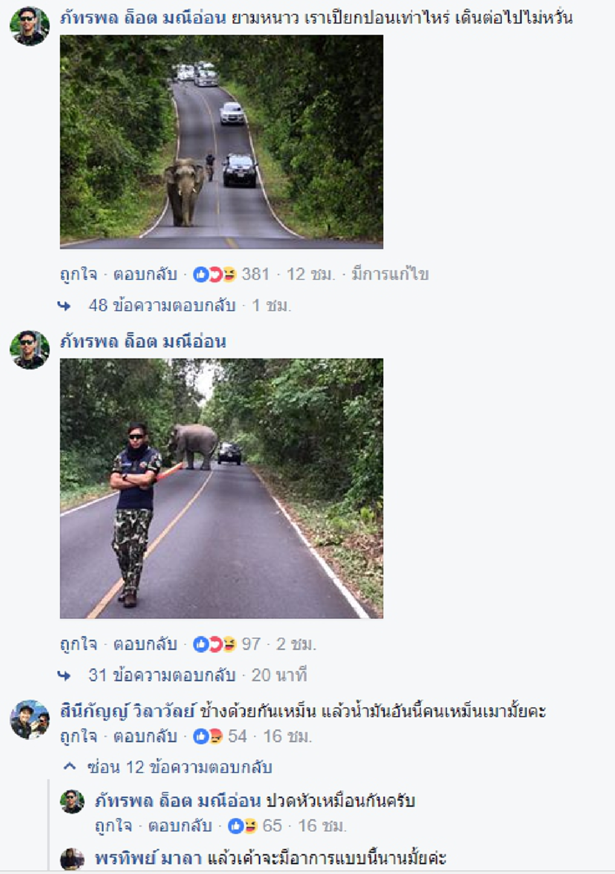 ช้างตกใจ น่ากลัวกว่าช้างตกมัน !!! สุดผวา "งาทอง แกว่งปฐพี" ช้างตกมันระยะอันตราย บนถนนเขาใหญ่ !!! #ข้อควรรู้และปฏิบัติ