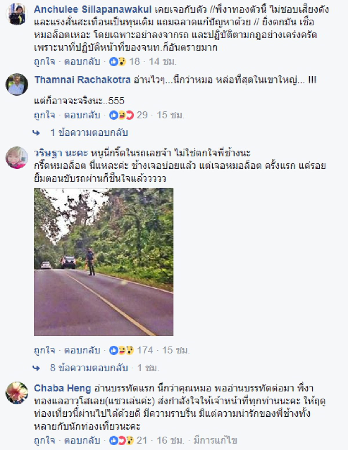 ช้างตกใจ น่ากลัวกว่าช้างตกมัน !!! สุดผวา "งาทอง แกว่งปฐพี" ช้างตกมันระยะอันตราย บนถนนเขาใหญ่ !!! #ข้อควรรู้และปฏิบัติ
