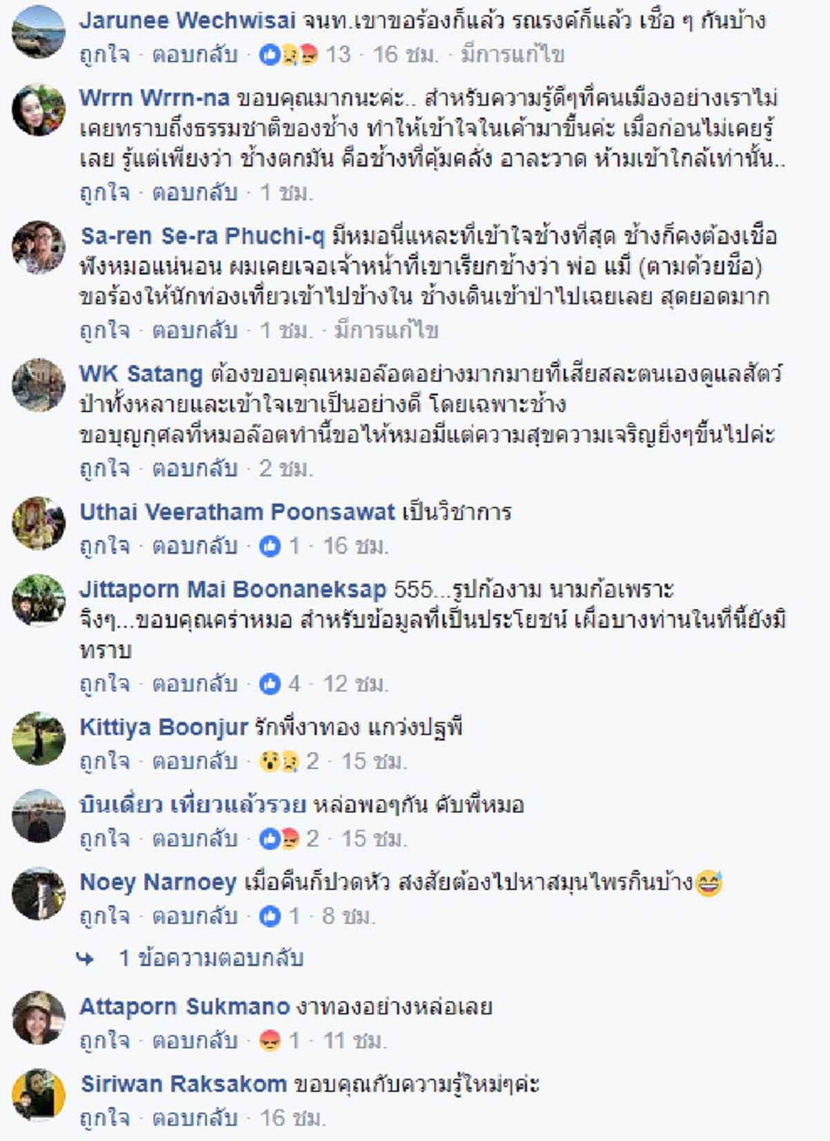ช้างตกใจ น่ากลัวกว่าช้างตกมัน !!! สุดผวา "งาทอง แกว่งปฐพี" ช้างตกมันระยะอันตราย บนถนนเขาใหญ่ !!! #ข้อควรรู้และปฏิบัติ