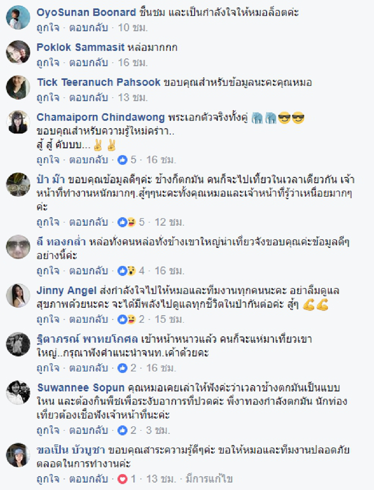 ช้างตกใจ น่ากลัวกว่าช้างตกมัน !!! สุดผวา "งาทอง แกว่งปฐพี" ช้างตกมันระยะอันตราย บนถนนเขาใหญ่ !!! #ข้อควรรู้และปฏิบัติ