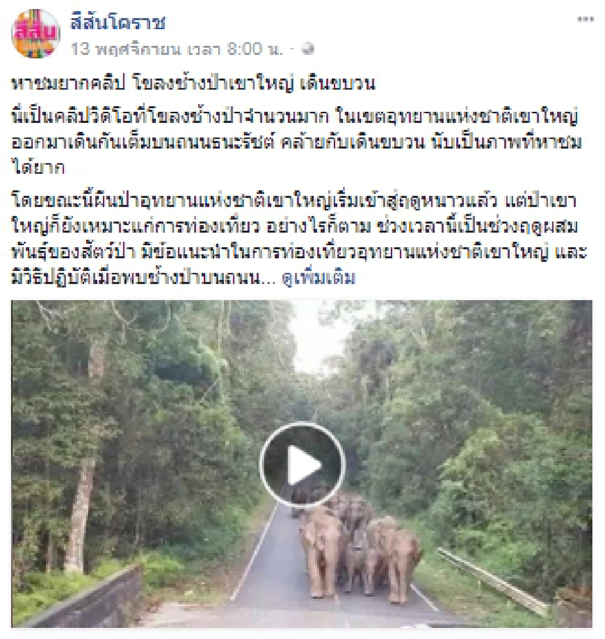 หาชมยาก ! คลิปโขลงช้างป่าเขาใหญ่ เดินขบวนกลางถนน-ส่งเสียงร้องก้องป่า