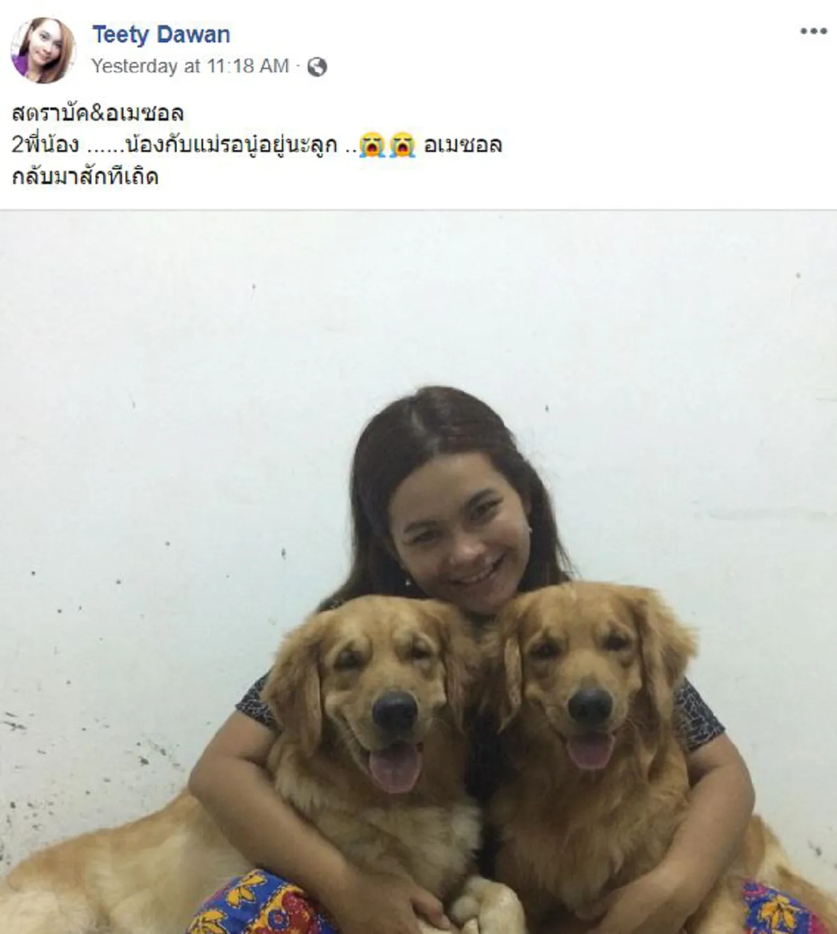 เจ้าของดีใจ น้องหมา โกลเด้นฯ หายจากบ้าน เเล้วเดินกลับมาเอง