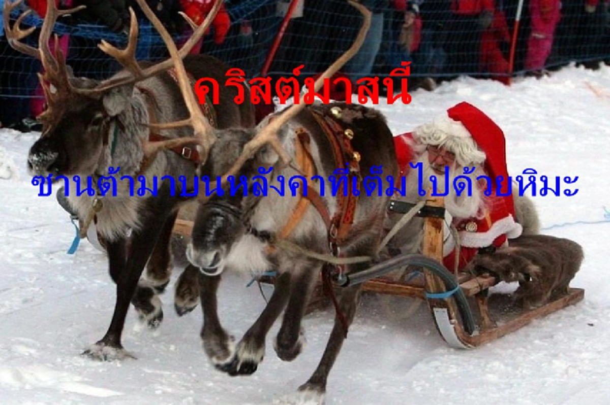 “คริสต์มาสนี้ เด็กๆเตรียมรับของขวัญ” สวีเดน แจง!สามารถจัดการ การเลื่อนบนหลังคาได้..ย้ำ!ลุงซานต้าไม่นำของที่มีน้ำหนักมากเกินไปขึ้นบนหลังคา
