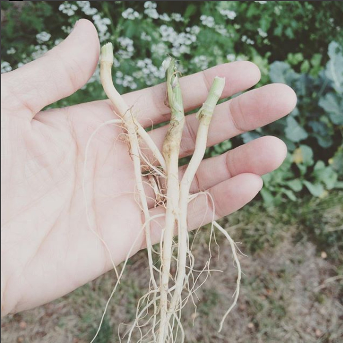 เปิดภาพ อุ้ม สิริยากร กับบทบาทแม่ศรีเรือนของผู้หญิงไทยในต่างแดน