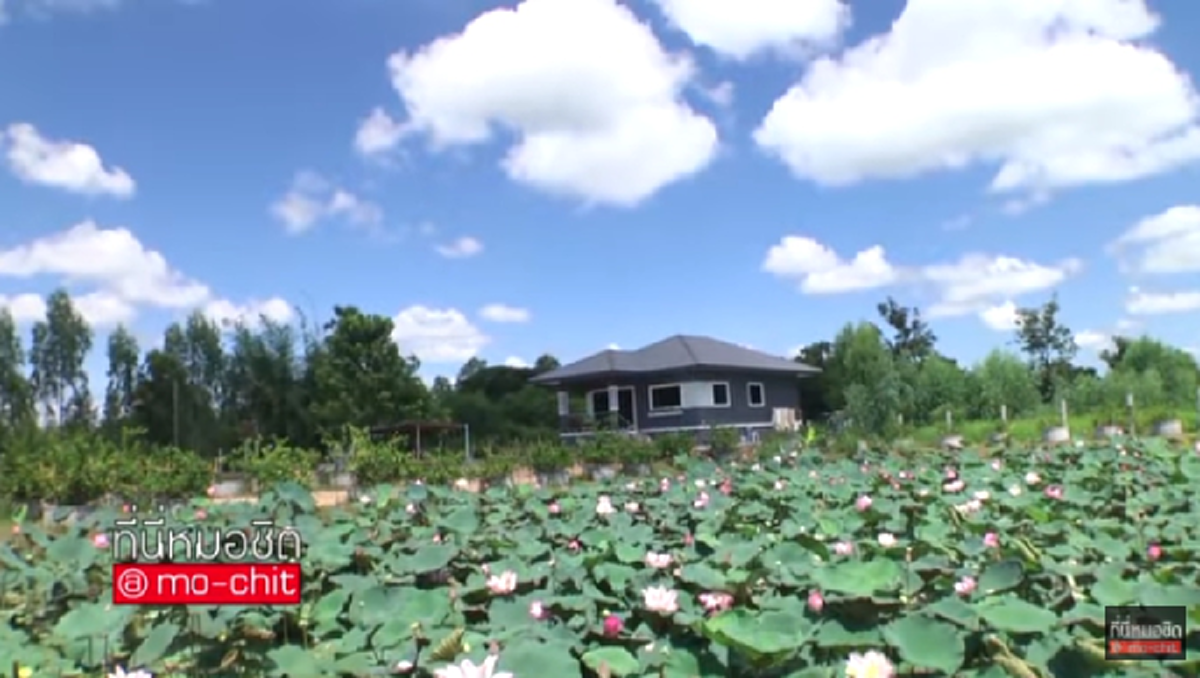 เปิดใจแฟนครั้งแรกของ...!!นักร้อง นักร้องสาวเสียงพิณ "จินตหรา พูนลาภ" รักกันตั้งแต่ปากกัดตีนถีบ (คลิป)