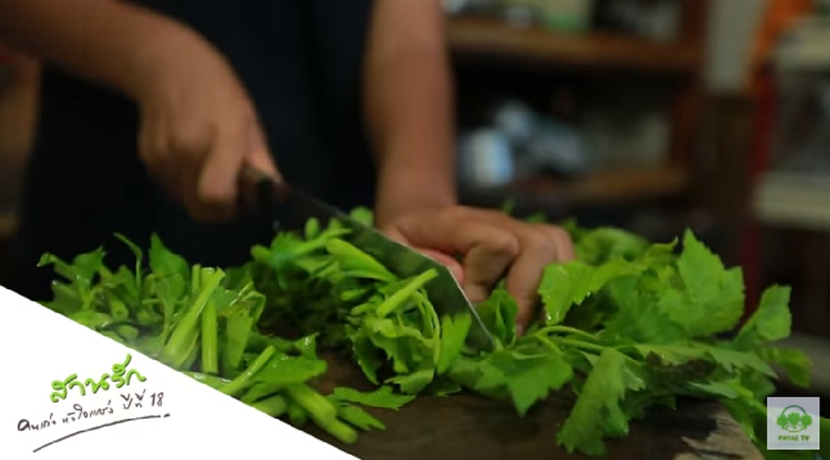 หัวใจสุดแกร่ง! น้องผักกาด เด็กหญิงชั้น ม.3 ถูกพ่อแม่ทิ้งให้ใช้ชีวิตเพียงลำพัง ต้องทำงานหลังเลิกเรียนวันล่ะ 9 ชั่วโมง เพื่อหาเลี้ยงตัวเอง