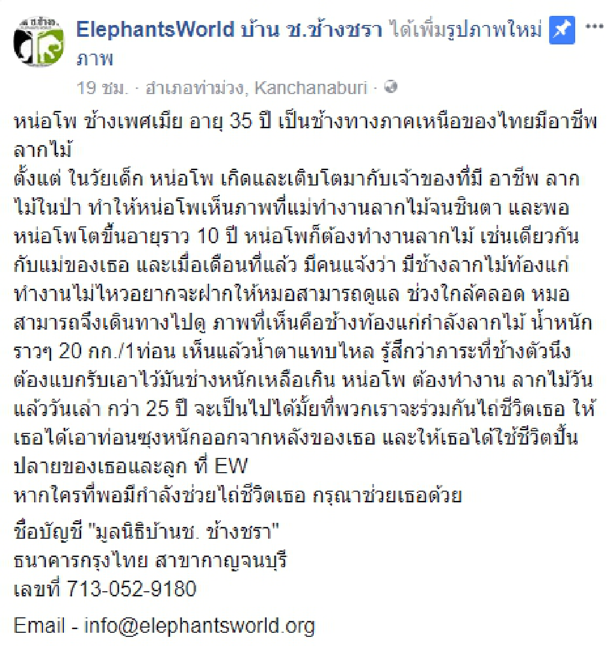 คนละแชร์...ช่วยแม่ช้างท้องแก่วัยชรา !!! เป็นที่น่าเศร้าต่อผู้พบเห็น แม่ช้างวัย 35 ปี ท้องแก่ใกล้คลอด ต้องแบกซุงทำงานหนัก...ทุกวัน !!!