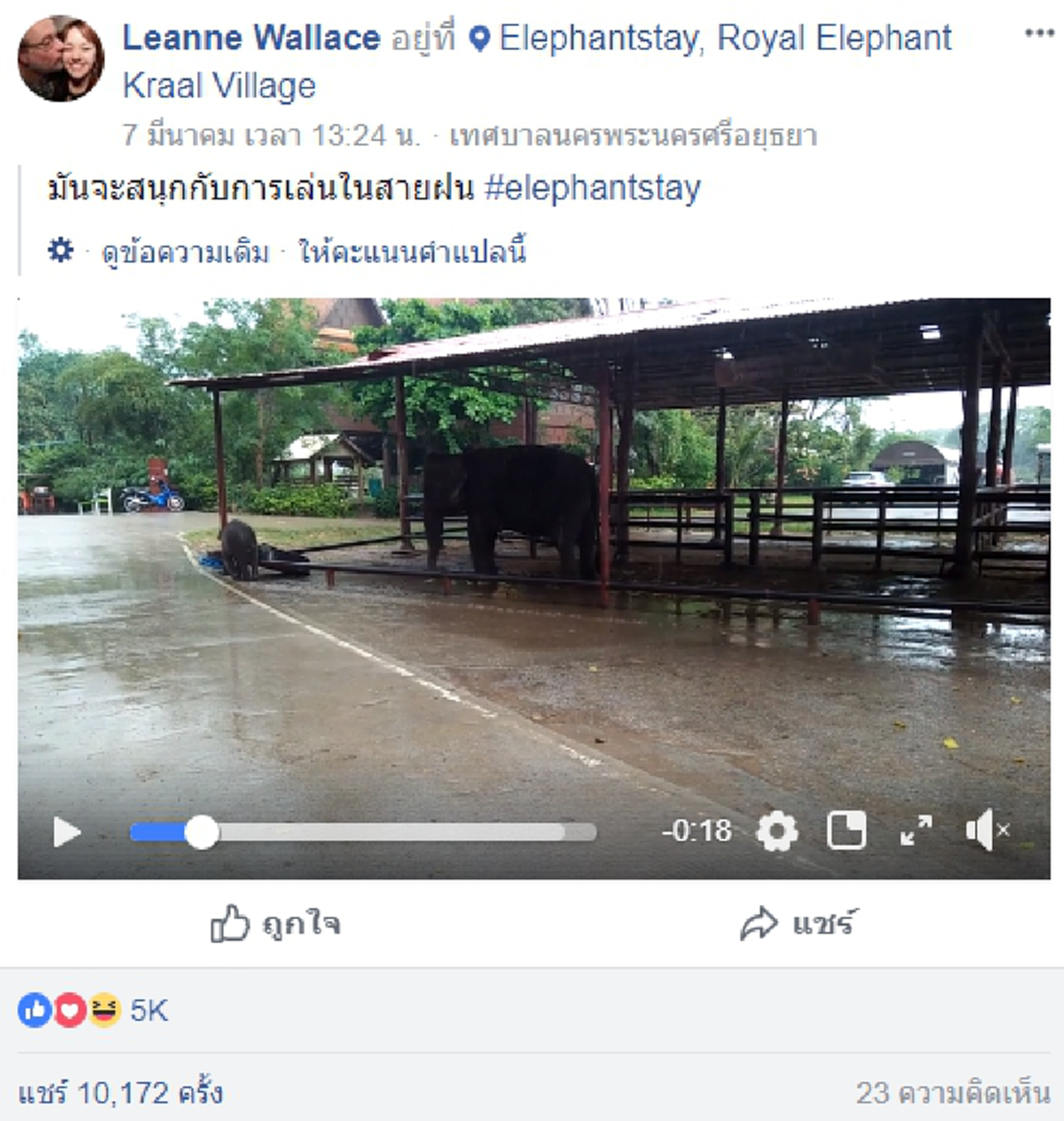 คลิปสุดน่ารัก...หาชมยาก !!! ลูกช้างตัวน้อย...เล่นน้ำฝน สุดแสนน่าเอ็นดู !!! ความสุขเล็กๆน้อยๆ ที่สัตว์จะหาได้จากธรรมชาติ #มีคลิป