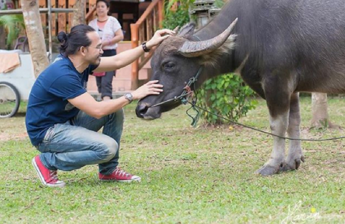 หลายคนไม่เคยรู้!!! ส่องชีวิตเบื้องหลัง "พระนารายณ์" รับบทโดย "ปราบ" ในละครบุพเพสันนิวาส แท้จริงเคยเก็บนกข้างทางมาเลี้ยง (มีคลิป)