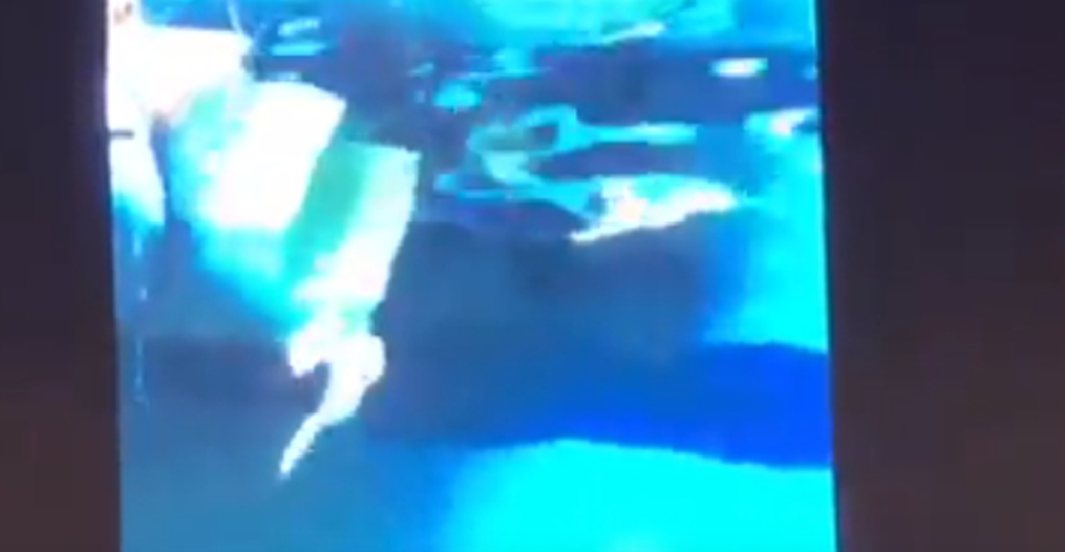 ไม่เคยพูดที่ไหนมาก่อน "ผบ.หน่วยซีล"เล่าความจริงช่วย13หมูป่าหวังแค่50% ชม"หมอภาคย์"กล้าหาญมาก