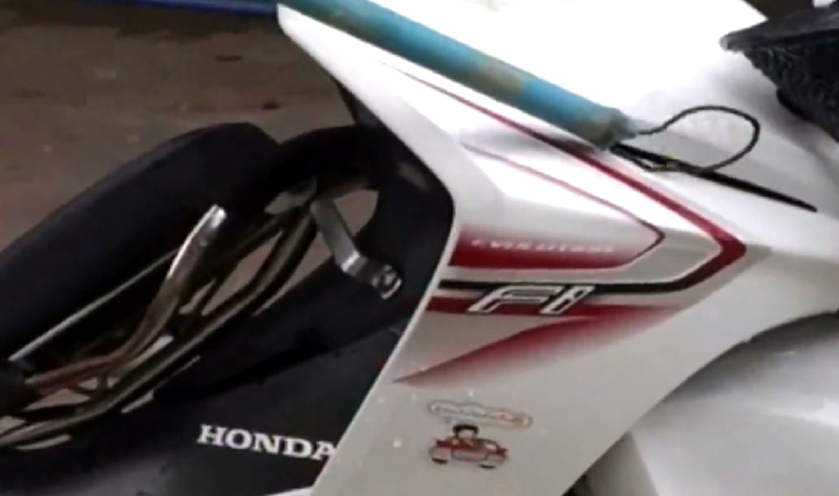 โบราณว่าจะมีโชคลาภ ครูสาวผงะงูเลื้อยเข้ารถจยย. ไล่ไม่ยอมไป สุดท้ายต้องจุดธูปบอก