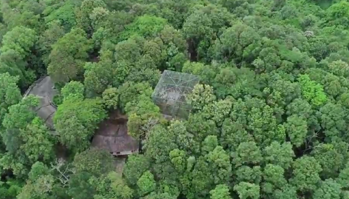 เปิดคลิปมุมสูง! "รังเย็น" อาณาจักรเปรมชัย 6,000 ไร่ จากโดรนความละเอียดสูง ป่าปิดทึบซ่อนในหุบเขา ตบตาเจ้าหน้าที่