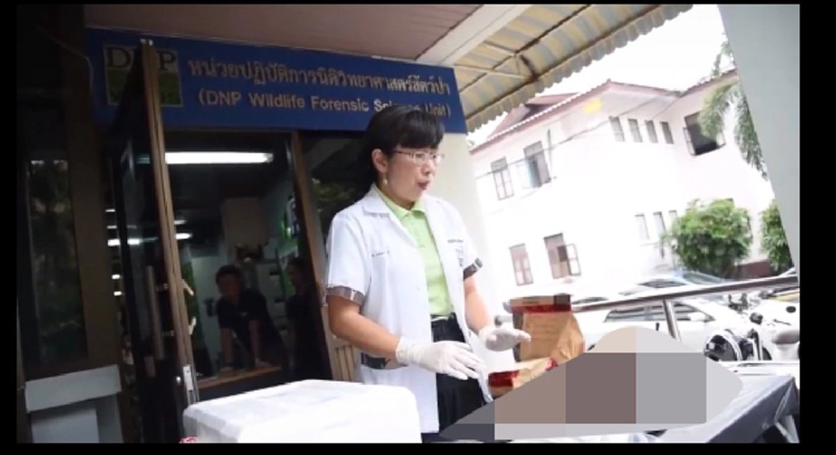 1เดือนรู้เรื่อง!!! เอาผิดแก็งค์ออฟโรด ปลัดหมีขอ ได้ไหม ??!!นิติวิทยาศาสตร์สัตว์ ขอเวลาตรวจหลักฐาน รู้ผลแน่