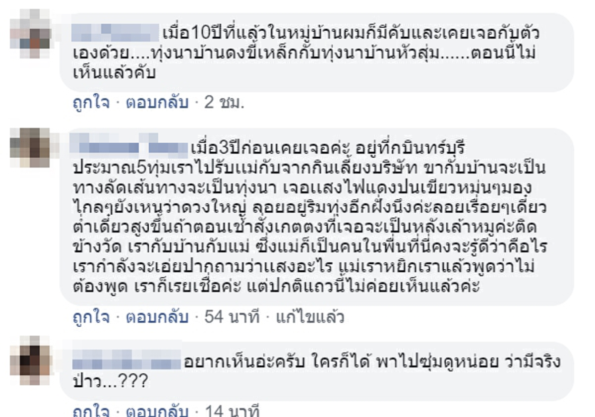 หนุ่มกู้ภัยขับรถผ่านกอไม้ เจอกระสืออยู่ในนั้น หัวฟูมีไส้ไฟสีเขียววิบวับ