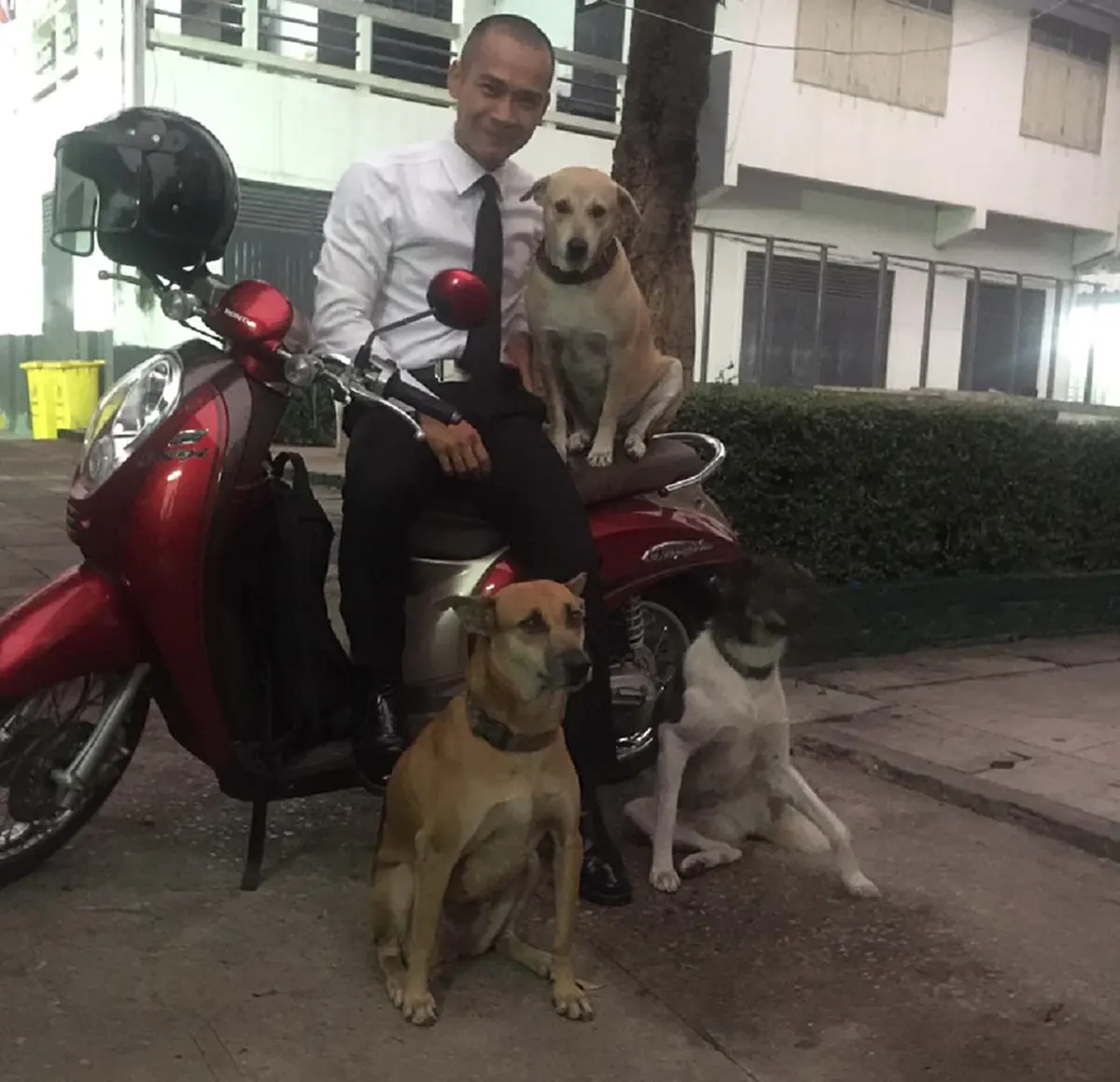 หนุ่มเรียนกฎหมาย เปลี่ยนความน่าเบื่อในการท่องจำจับสุนัขคู่ใจ มานั่งอ่านด้วยกัน ชาวเน็ตเห็นต่างอมยิ้ม(คลิป)