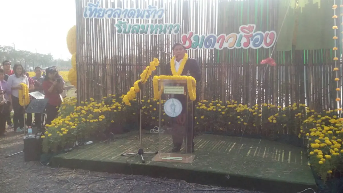 กทม.ชวนชมทุ่งดาวเรืองในงาน “เที่ยวลาดพร้าว รับลมหนาวชมดาวเรือง”