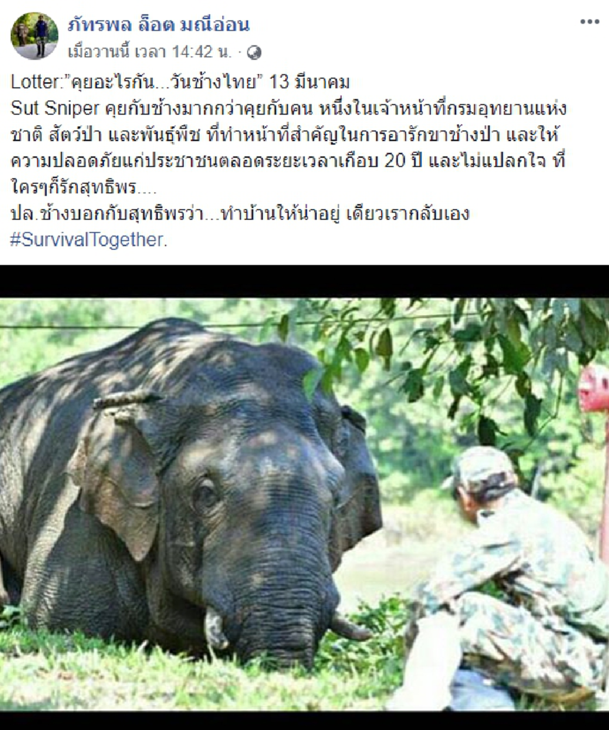 หมอล็อตโพส "ทำบ้านเราให้น่าอยู่ แล้วเราจะกลับเอง"สาสน์จากช้างป่าในวันช้างไทย 13 มีนาคม