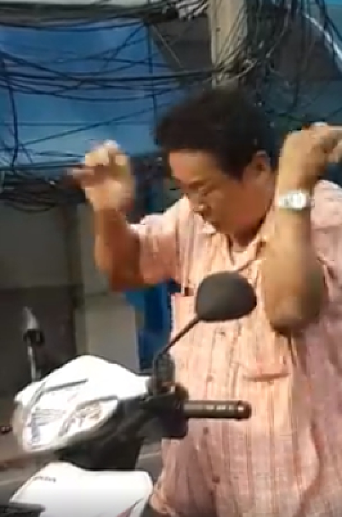 "คุณลุง" ปัดมือป้อง เจอแมลงรุมตอม ขับรถหนีก็ยังตาม! (คลิป)