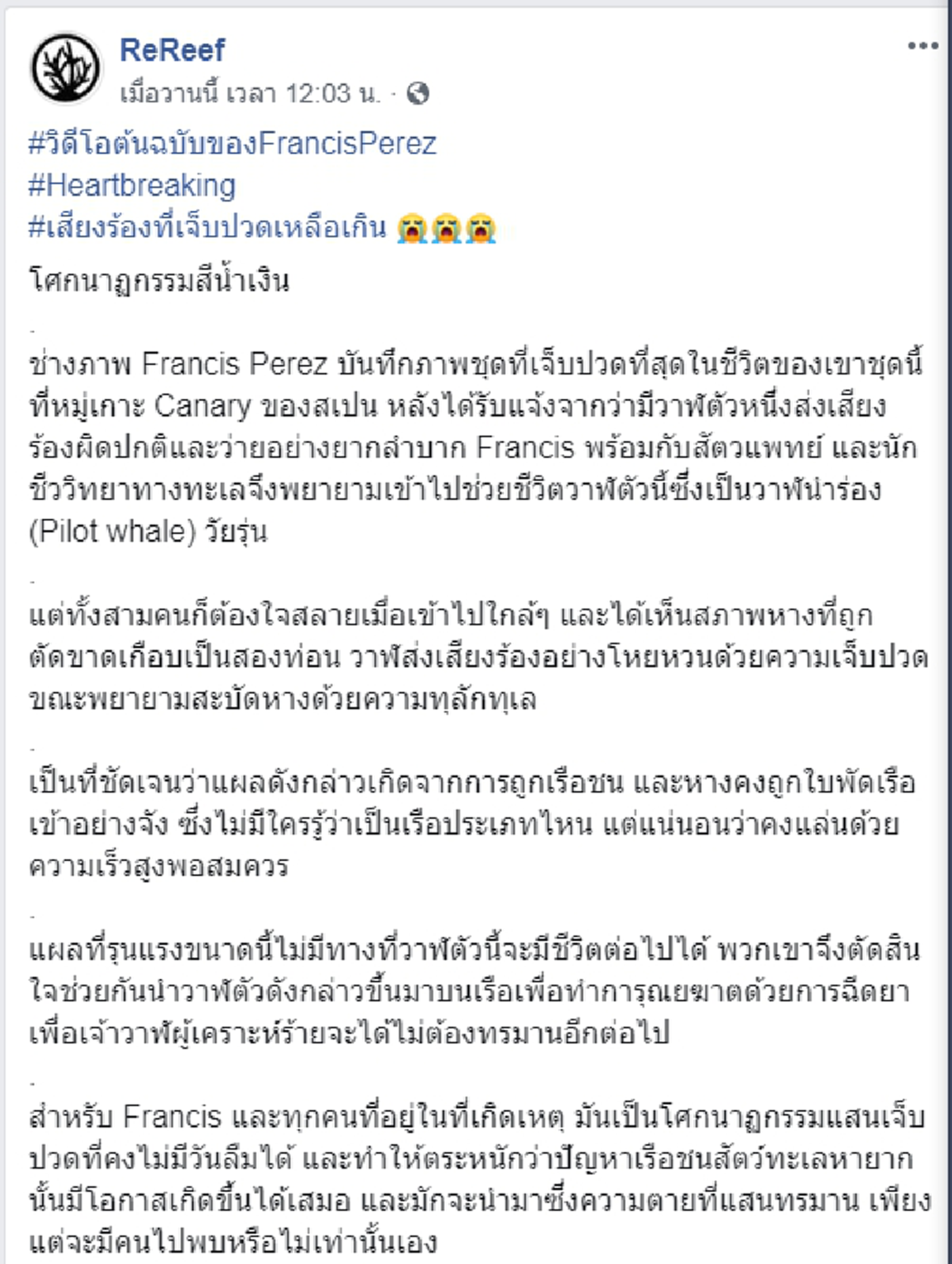พบโลมาได้รับบาดเจ็บที่หาง ก่อนเจ้าหน้าที่ตัดสิ้นใจการุณฆาต