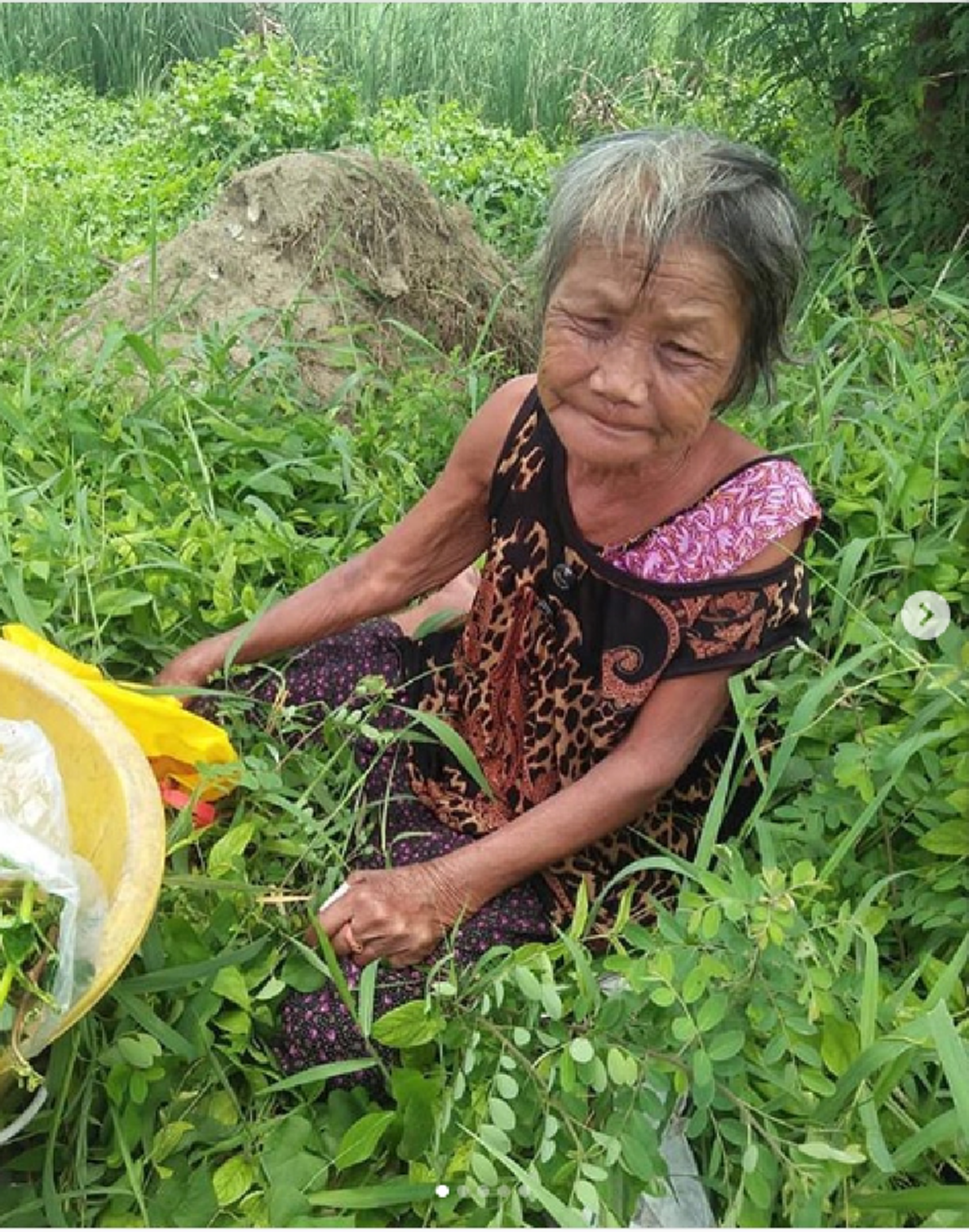 สาวเจอยายนั่งอยู่ในดงหญ้า ก่อนพูดช่วยอุดหนุนผักบุ้งหน่อย