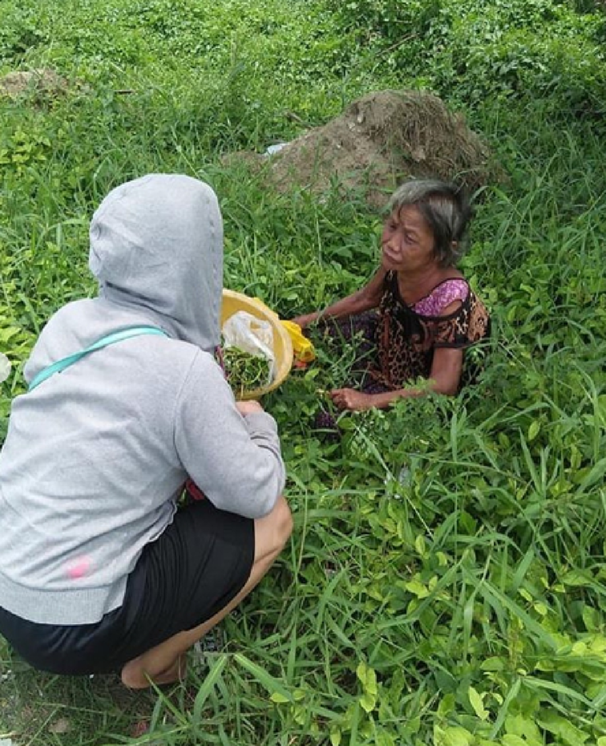 สาวเจอยายนั่งอยู่ในดงหญ้า ก่อนพูดช่วยอุดหนุนผักบุ้งหน่อย