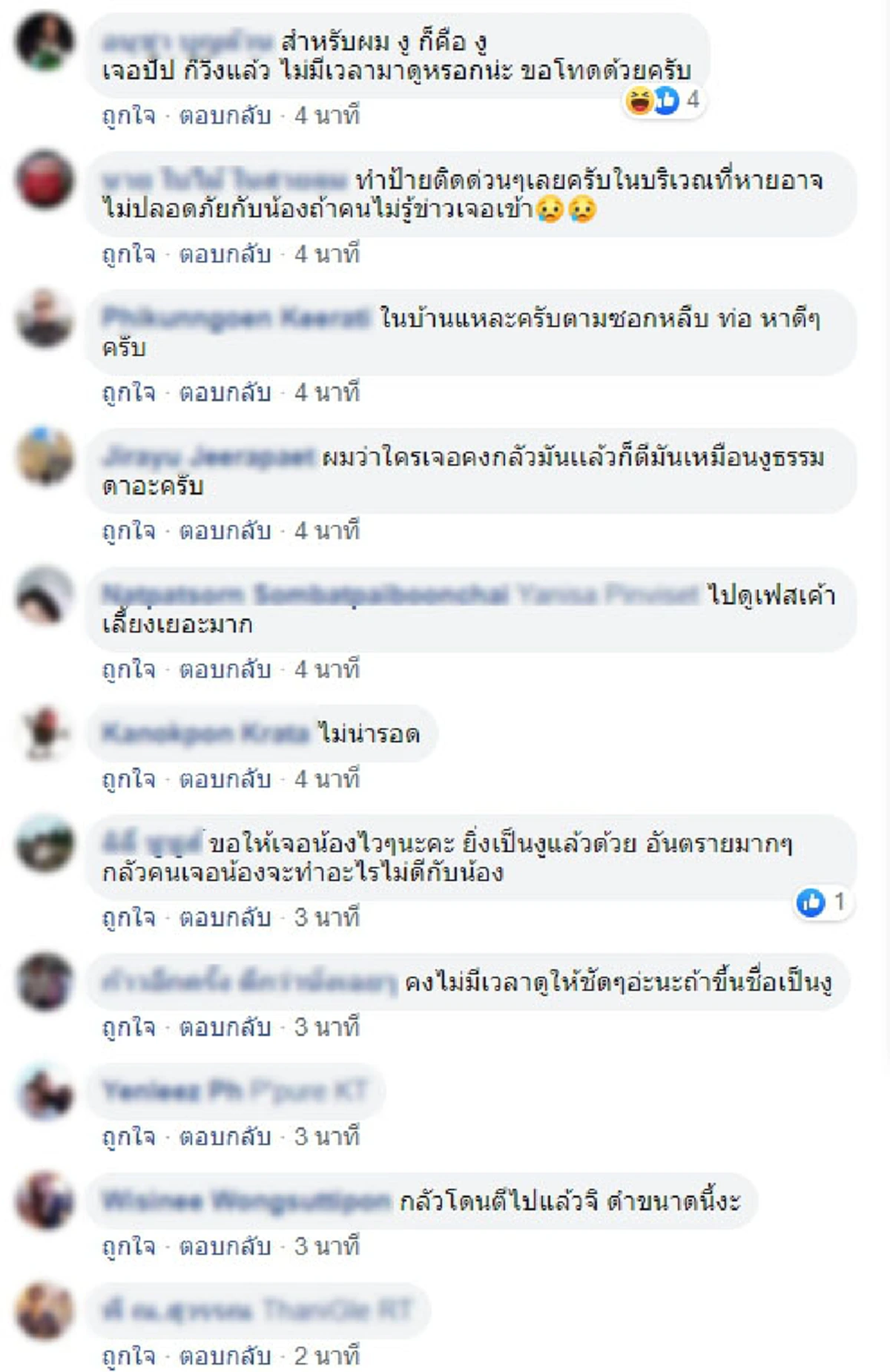 สาวสวยประกาศตามหา สัตว์เลี้ยงแสนรักหายออกจากบ้าน วอนหากพบอย่าทำร้าย