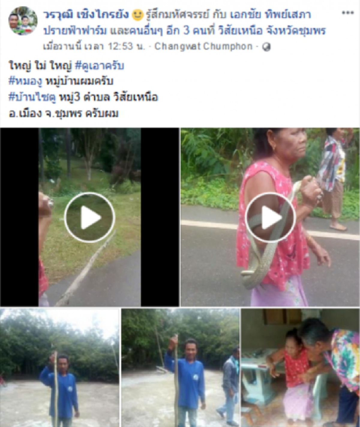 คุณยายแบกงูเดินข้างถนนมือเปล่า ทำชาวบ้านแตกตื่น
