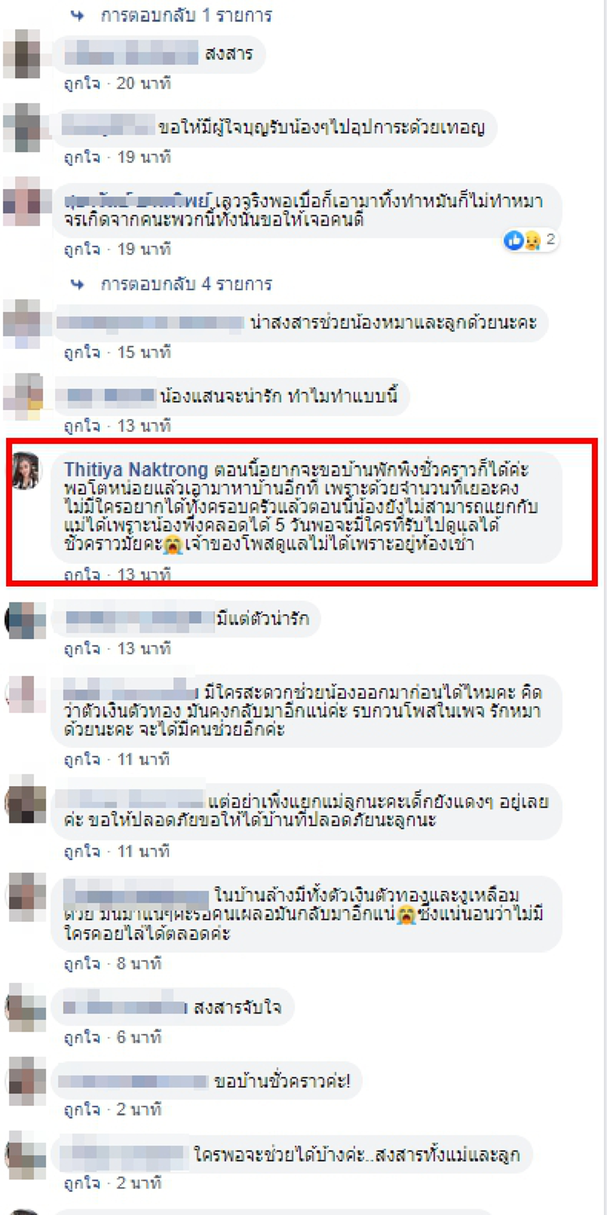 สาววอน ช่วยตูบถูกทิ้งพร้อมลูกๆ เพื่อจะได้ปลอดภัย