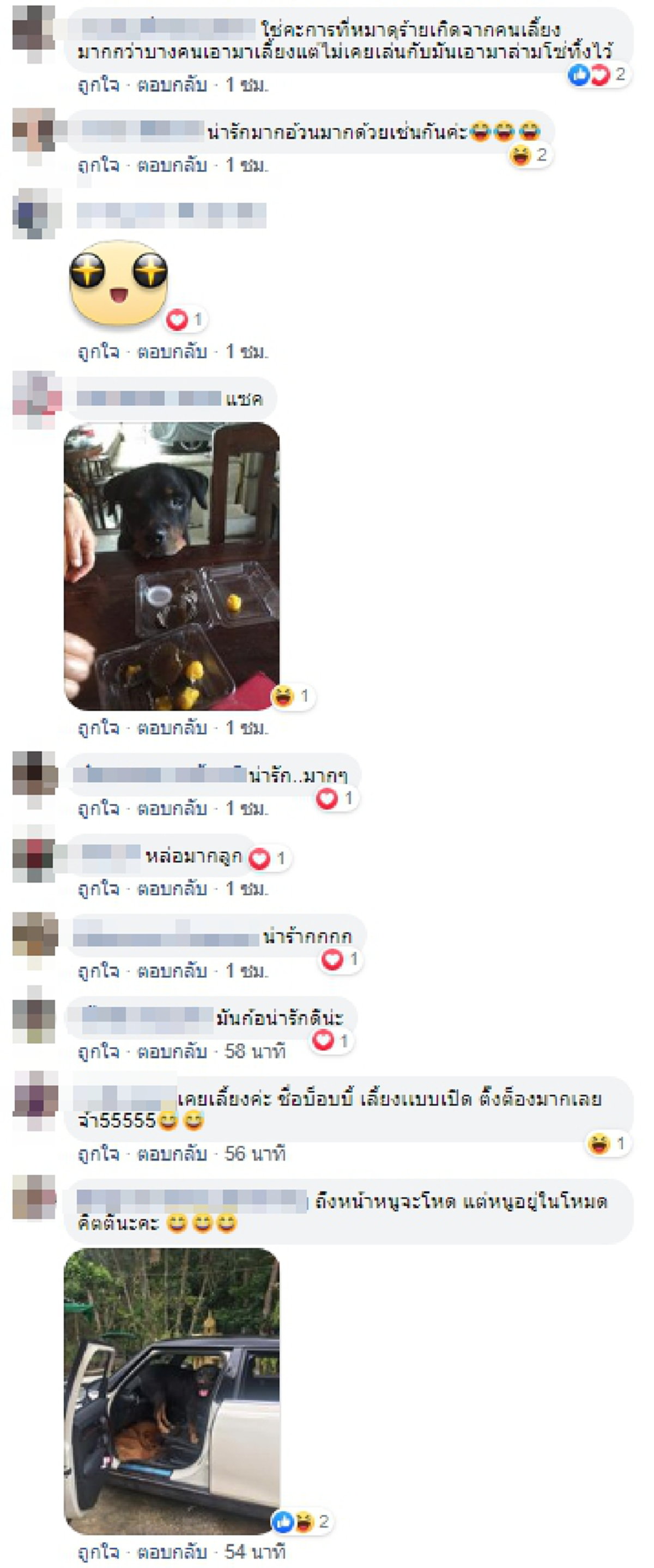 สาวเปิดใจ เผยประสบการณ์เลี้ยง ร็อตไวเลอร์