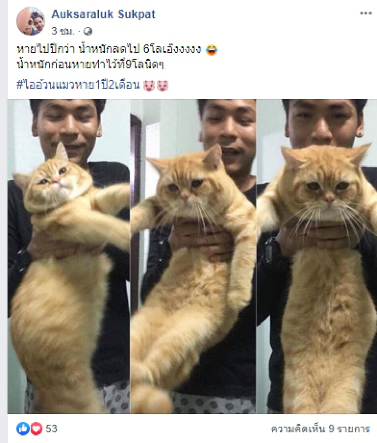 สาวออกตามหาแมวที่หายไปนานถึง 1 ปี 2 เดือน จนได้พบกันอีกครั้งกับความเปลี่ยนแปลง