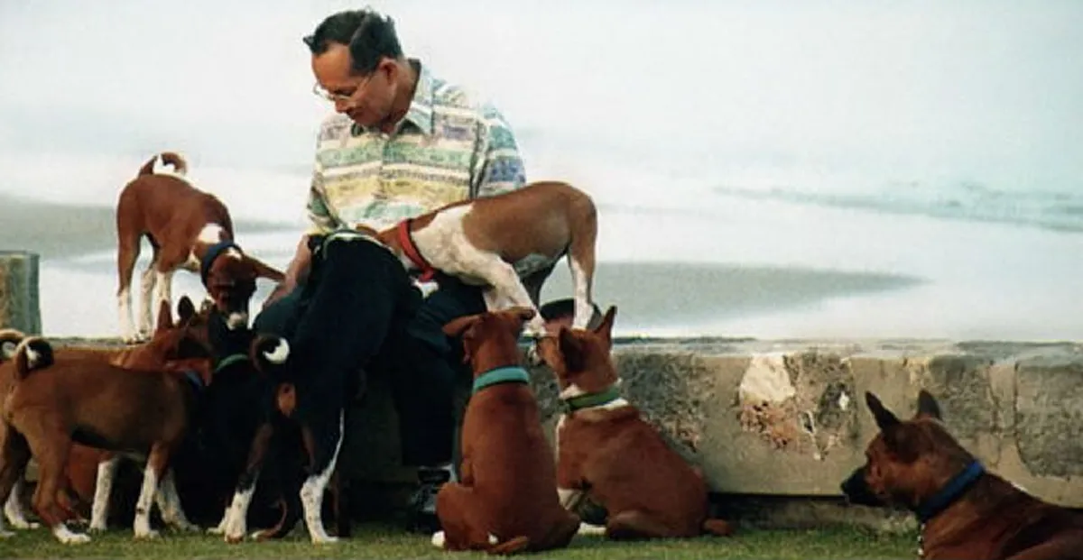 หลายคนอาจยังไม่รู้จัก!! 3 สุนัขทรงเลี้ยงของในหลวงรัชกาลที่ 9 ที่ไม่ค่อยได้ยินชื่อ