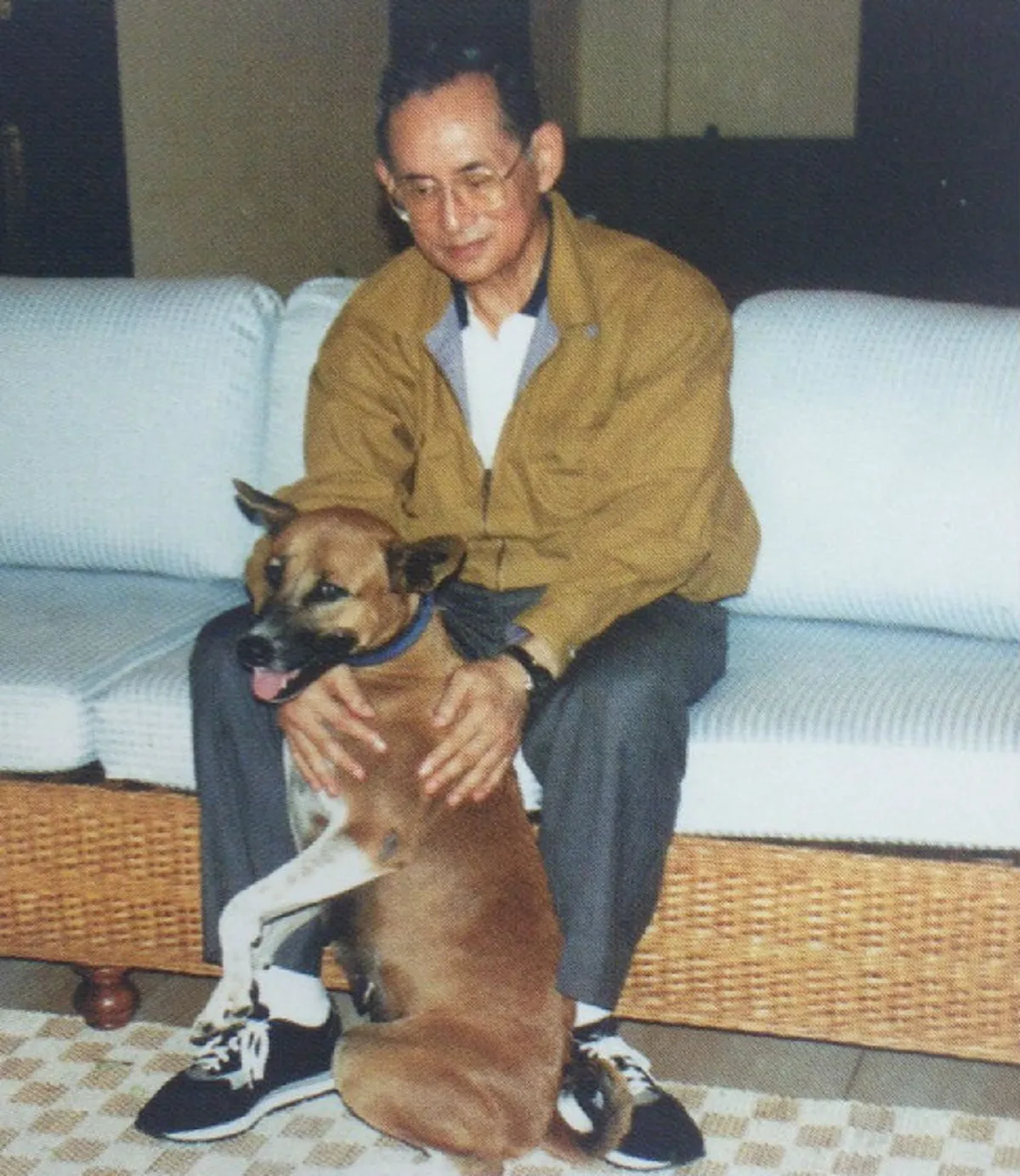 เผยประวัติ!! คุณทองแดง สุนัขทรงเลี้ยงแสนรู้ของพ่อหลวงรัชกาลที่๙ (รายละเอียด)