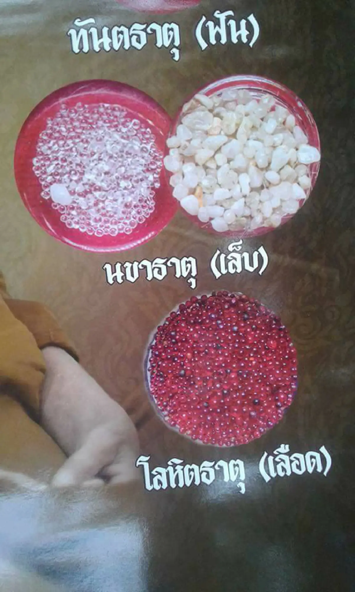 อำนาจจิตหลวงตาสรวง สิริปุญโญ!! หลวงตาเมตตาไขปริศนา เหตุที่สังขารแปรเป็นพระธาตุ ... เผยรายชื่อประธานสงฆ์ร่วมงานถวายพระเพลิง!!