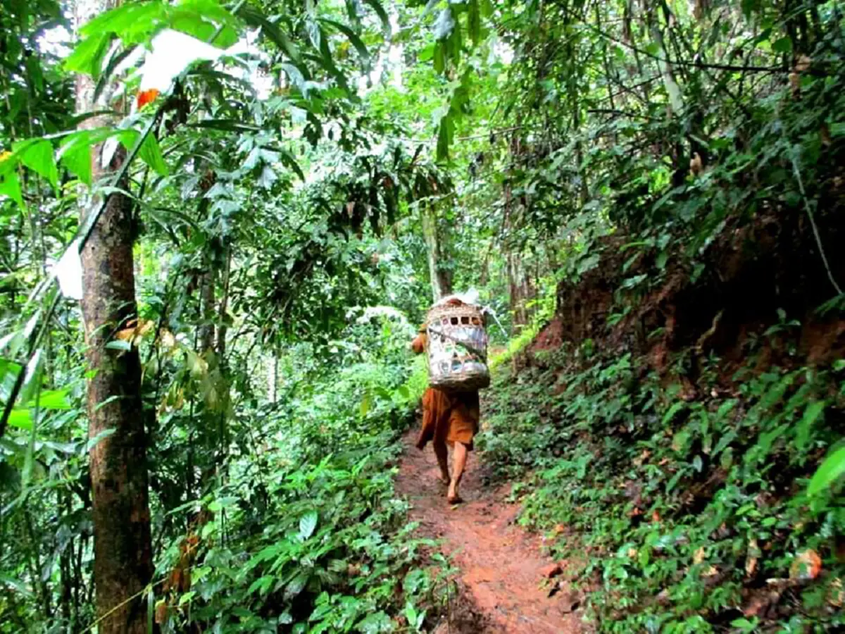 เปิดประวัติ “พระจูเลียน” พระฝรั่งบนยอดดอย ทิ้งทุกอย่างแสวงหาความสุขในทางธรรม ไม่เบียดเบียนชาวบ้าน ฉันผัก ผลไม้ดำรงชีพ