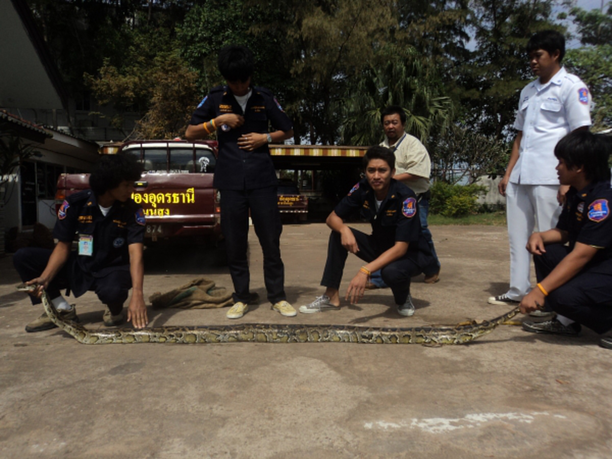 หายโง่สักที ! เผยวิธีไล่ "งูตัวร้าย" ออกจากบ้าน โดยไม่ต้องลงมือฆ่า ชาวเน็ตรีบแชร์เก็บไว้ด่วน!