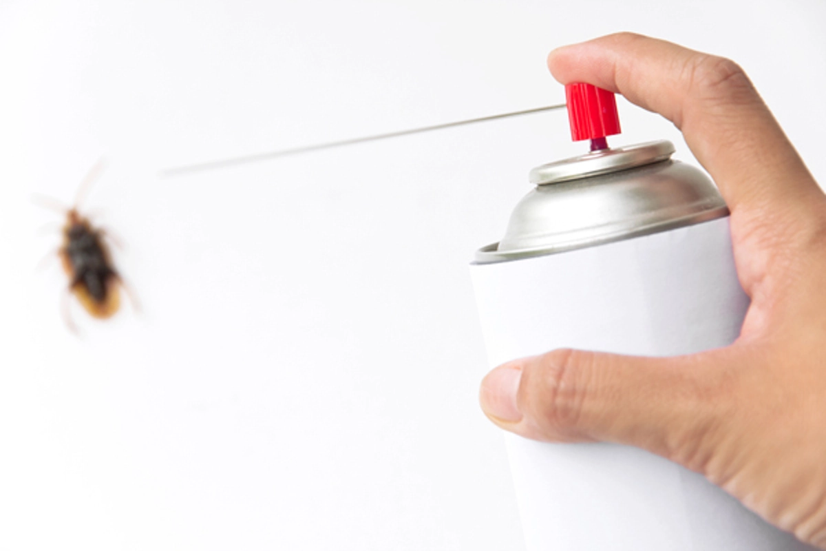 ไขข้อสงสัย!! ทำไม? "แมลงสาบ" ต้อง "หงายท้อง" ตาย !! เชิญพบกับคำตอบแท้จริง ที่ไม่มีใครเคยรู้มาก่อน! (คลิป)