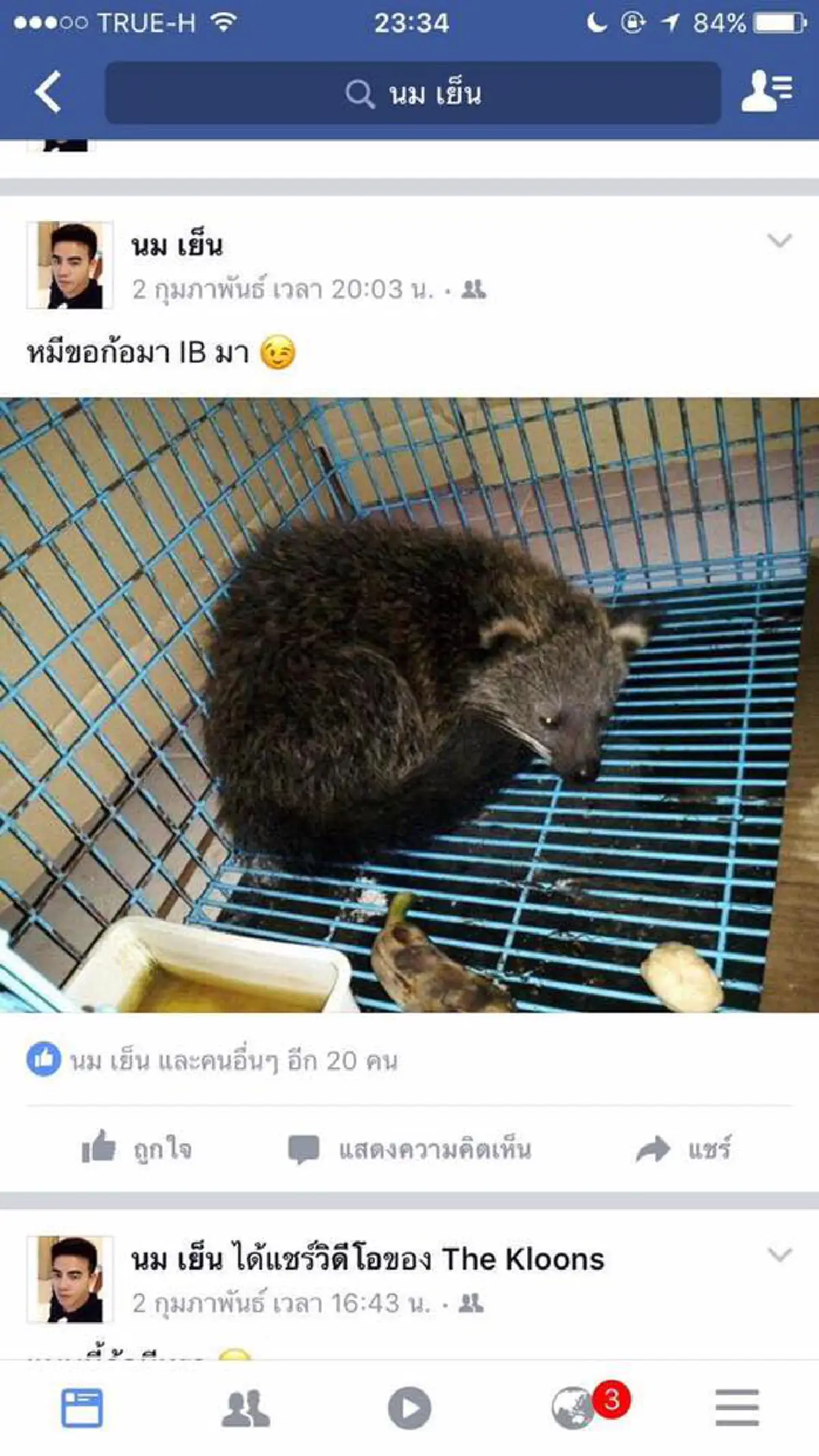 แฉกันไปให้เห็นหน้าแบบชัดๆ พฤติกรรมสุดแย่ เอาสัตว์ป่ามาขายในเฟสบุค นางอาย หมี ลิง มาหมด มองตาสัตว์แล้ว น่าสงสารจับใจ !! (รายละเอียด)