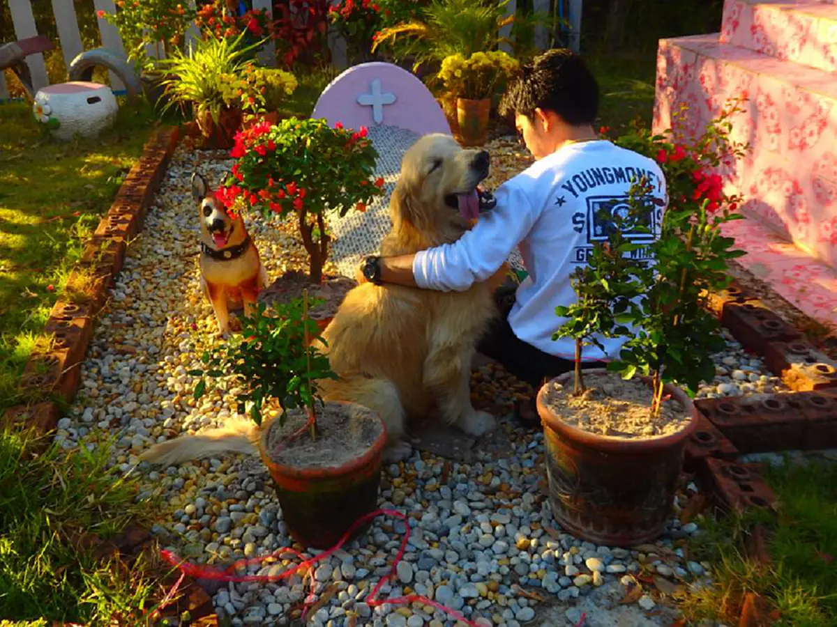 น้ำตาไหลทั้งโซเชียล!! แชร์สนั่นหนุ่มโพสต์เศร้าสูญเสียแฟนสาวคบนานกว่า 11 ปี วันนี้ขอทำสิ่งสุดท้ายเพื่อเธอ ย้ำเตือนชีวิตคนมีคู่ !!? (มีคลิป)