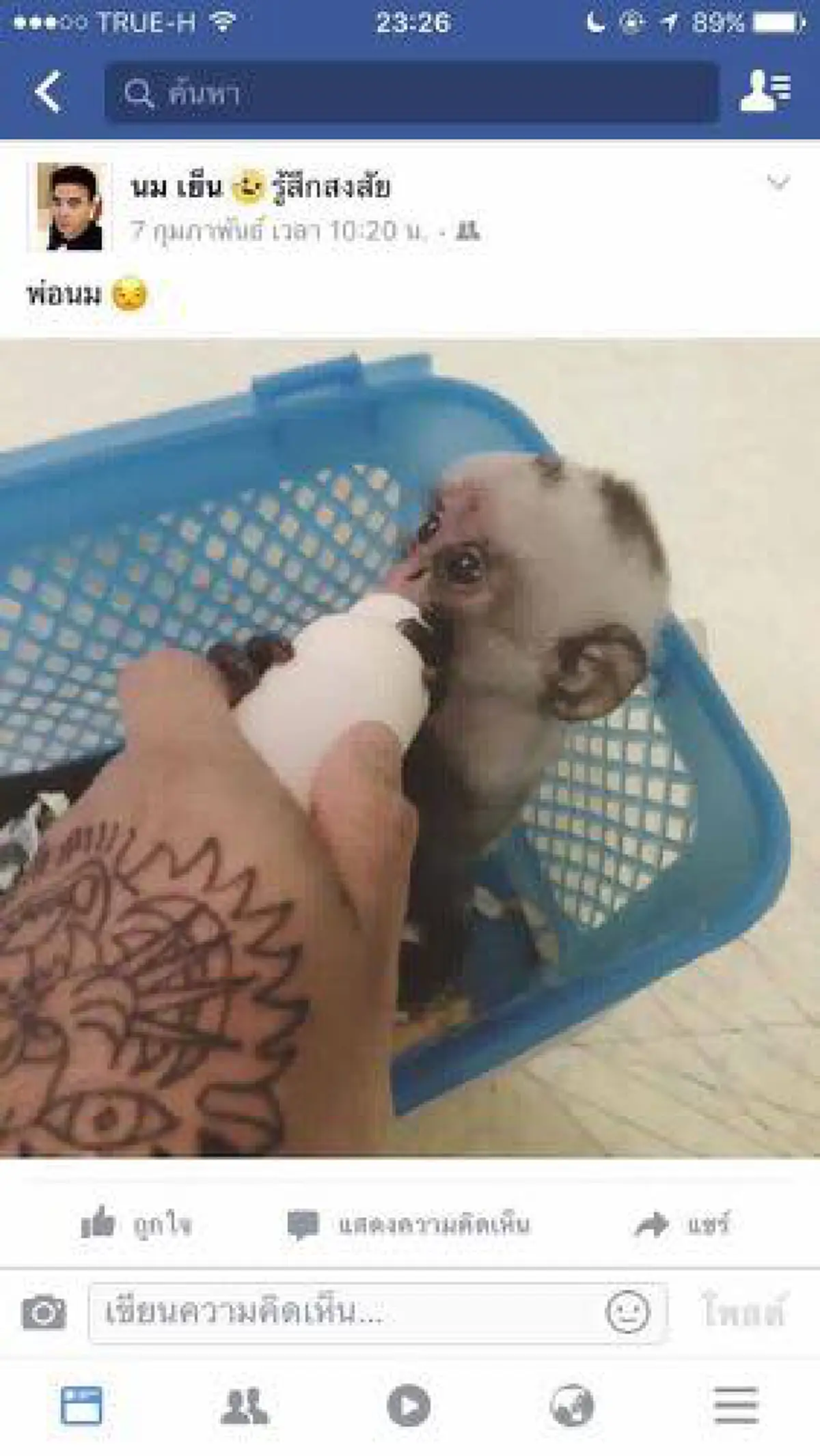 แฉกันไปให้เห็นหน้าแบบชัดๆ พฤติกรรมสุดแย่ เอาสัตว์ป่ามาขายในเฟสบุค นางอาย หมี ลิง มาหมด มองตาสัตว์แล้ว น่าสงสารจับใจ !! (รายละเอียด)