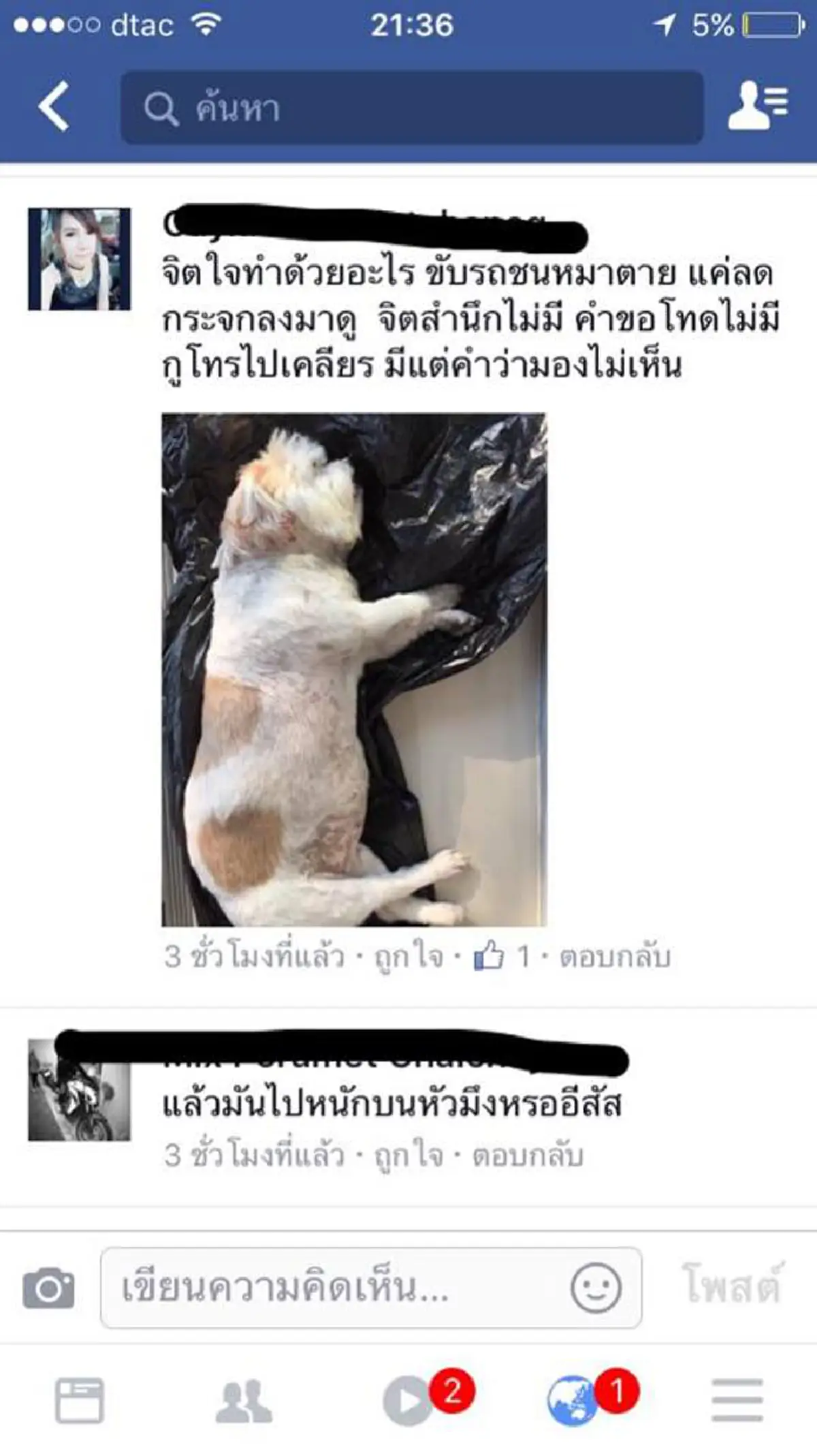 เจ้าของหมาร้องไห้แทบขาดใจ หลังน้องหมาโดนเหยียบจนตาย คนขับหนีหาย พอเจ้าของติดต่อกลับโดนด่าด้วยคำหยาบแบบสุดๆ คำเดียวที่อยากได้ยินคือขอโทษ