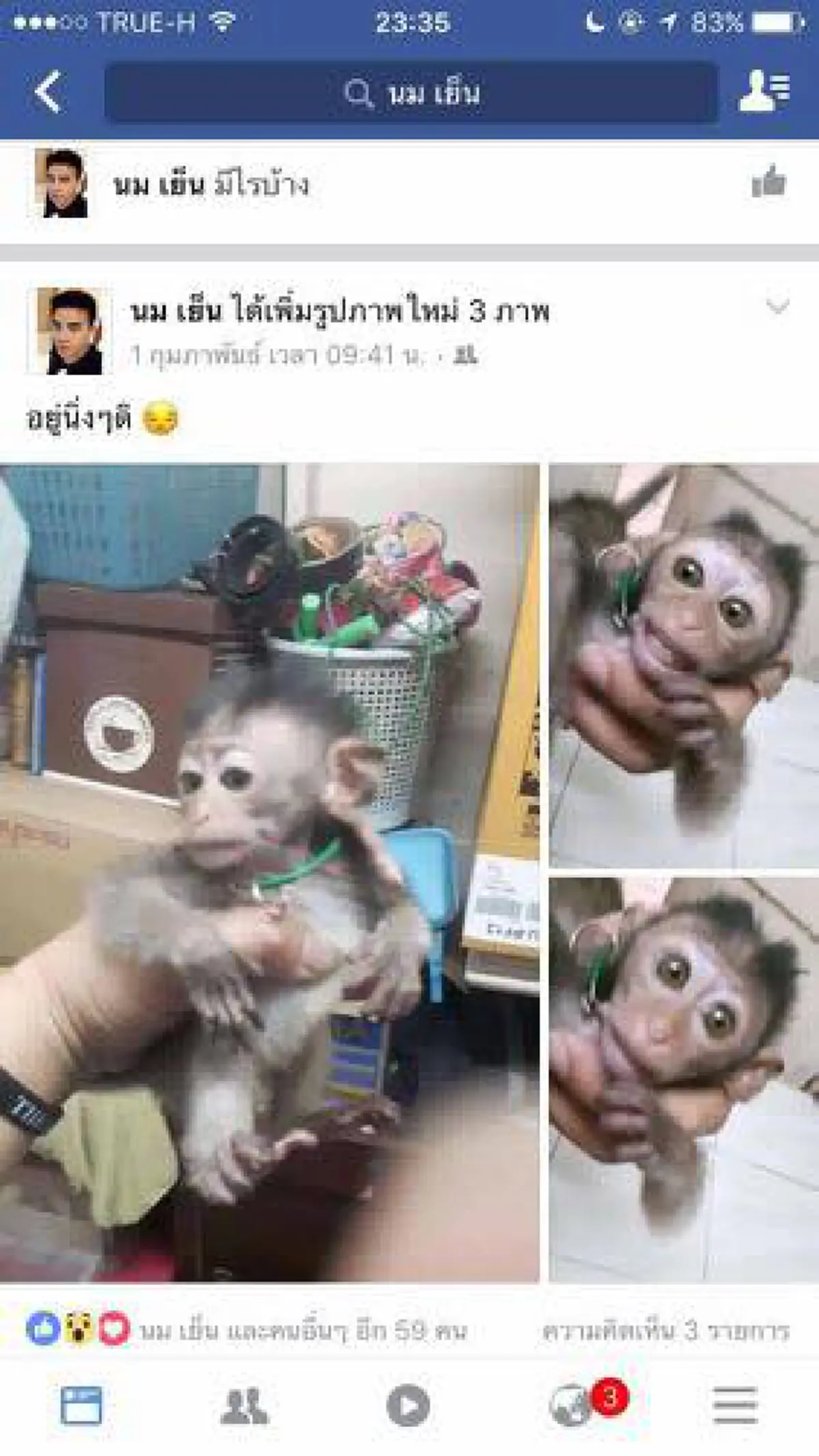 แฉกันไปให้เห็นหน้าแบบชัดๆ พฤติกรรมสุดแย่ เอาสัตว์ป่ามาขายในเฟสบุค นางอาย หมี ลิง มาหมด มองตาสัตว์แล้ว น่าสงสารจับใจ !! (รายละเอียด)