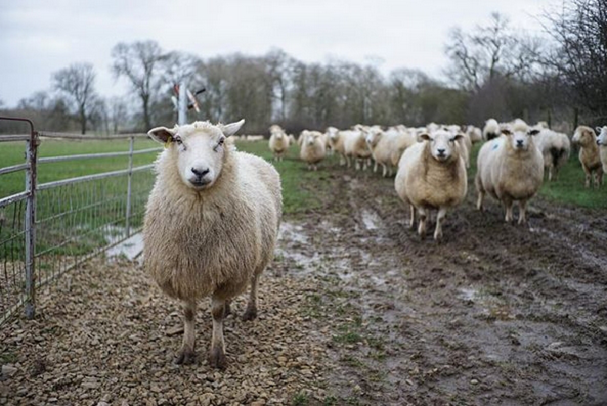 ถึงไม่มีรูปคู่...แต่ฟินหนักมาก!! "อาเล็ก - เต้ย" บินลัดฟ้าเที่ยวประเทศอังกฤษ เติมความหวานให้กันเบาๆ