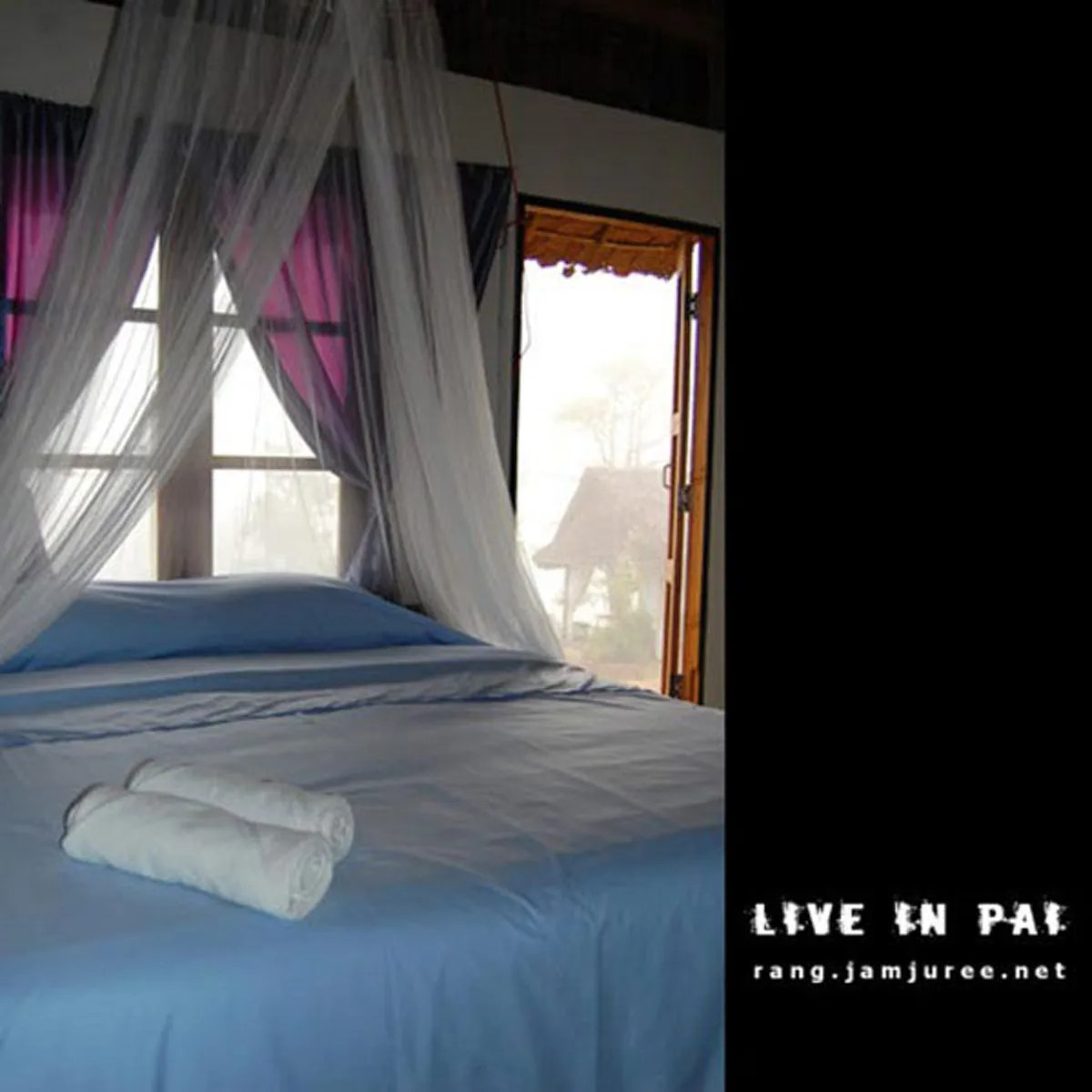 ไอเดียโคตรบรรเจิด!!สามคนพี่น้อง ช่วยกันสร้างกระท่อมไม้ไผ่ไว้อยู่เองหลังเล็กๆ แต่แข็งแรง อยู่ได้ถาวร..พอได้เห็นข้างในแทบตาค้าง มันสุดยอดจริงๆ